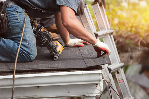 Best Gutter Installation and Roofing  in Horizon City, TX